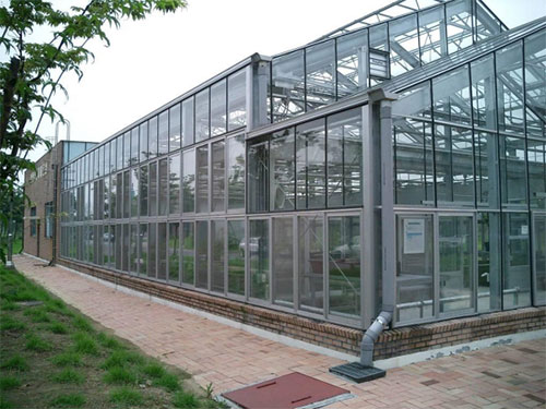 玻璃温室板房1